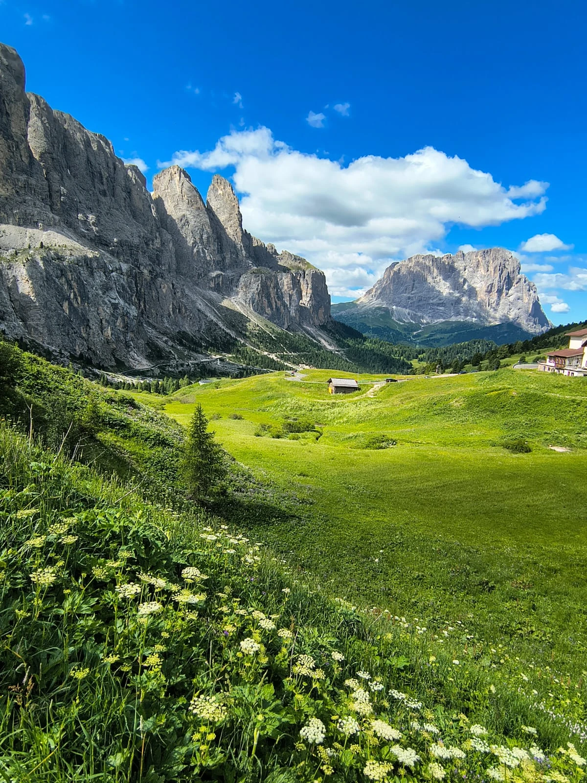 MARMOLADA